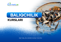 Baliqchilik