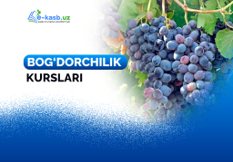 Bog‘dorchilkni o‘rganish