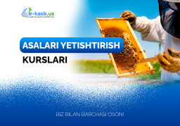 Asalarichilik yetishtirish